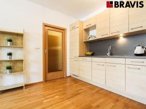 Pronájem bytu 2+kk, Brno - Staré Brno, Vodní, 53 m2