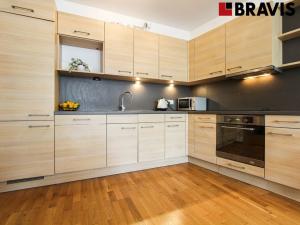 Pronájem bytu 2+kk, Brno - Staré Brno, Vodní, 53 m2