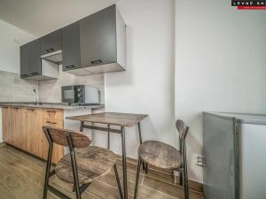 Pronájem bytu 1+kk, Ústí nad Labem, Čajkovského, 30 m2