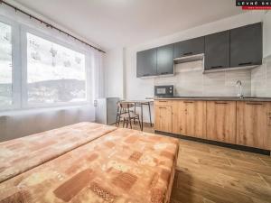 Pronájem bytu 1+kk, Ústí nad Labem, Čajkovského, 30 m2