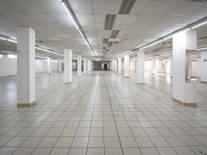 Pronájem obchodního prostoru, Plzeň - Lobzy, Sousedská, 1600 m2