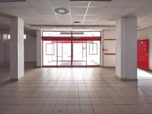 Pronájem obchodního prostoru, Plzeň - Lobzy, Sousedská, 1600 m2
