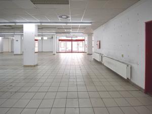 Pronájem obchodního prostoru, Plzeň - Lobzy, Sousedská, 1600 m2