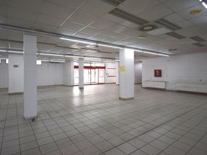 Pronájem obchodního prostoru, Plzeň - Lobzy, Sousedská, 1600 m2