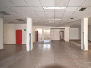 Pronájem obchodního prostoru, Plzeň - Lobzy, Sousedská, 1600 m2