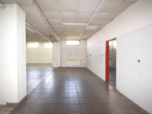 Pronájem obchodního prostoru, Plzeň - Lobzy, Sousedská, 1600 m2