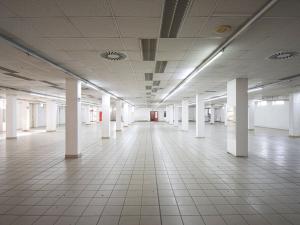 Pronájem obchodního prostoru, Plzeň - Lobzy, Sousedská, 1600 m2