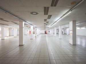 Pronájem obchodního prostoru, Plzeň - Lobzy, Sousedská, 1600 m2