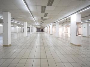 Pronájem obchodního prostoru, Plzeň - Lobzy, Sousedská, 1600 m2