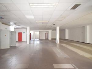 Pronájem obchodního prostoru, Plzeň - Lobzy, Sousedská, 1600 m2