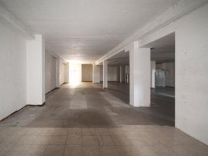 Pronájem obchodního prostoru, Plzeň - Lobzy, Sousedská, 1600 m2