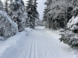 Prodej chaty, Hroznětín, 82 m2