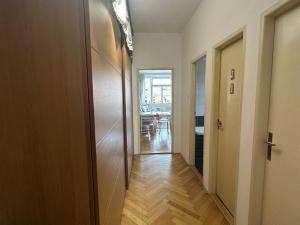 Pronájem bytu 2+kk, Praha - Smíchov, Štefánikova, 54 m2