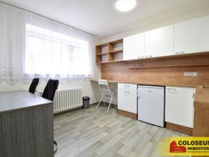 Pronájem bytu 1+kk, Brno - Pisárky, 28 m2