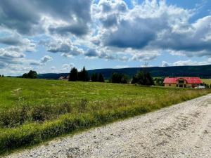 Prodej pozemku pro bydlení, Orlické Záhoří, 3067 m2