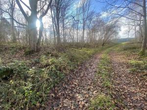 Prodej pozemku, Staré Město pod Landštejnem, 1074 m2