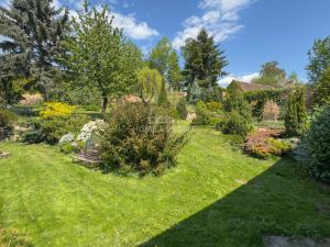 Prodej chalupy, Číčenice - Strpí, 220 m2