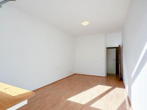 Pronájem bytu 1+kk, Praha - Vinohrady, Římská, 24 m2