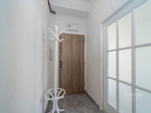 Pronájem bytu 1+kk, Praha - Podolí, Pravá, 27 m2