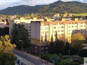 Pronájem bytu 1+kk, Děčín - Děčín I-Děčín, Pohraniční, 19 m2