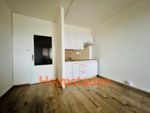 Pronájem bytu 1+kk, Ostrava - Poruba, Francouzská, 28 m2