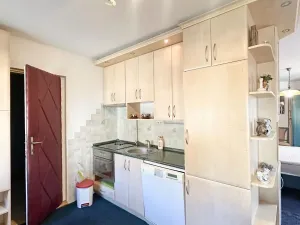 Prodej ubytování, Jeseník, Priessnitzova, 162 m2