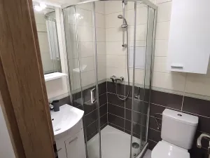 Pronájem bytu 1+1, Dolní Benešov, Osada míru, 28 m2