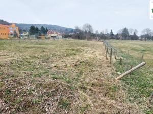 Prodej pozemku pro bydlení, Lázně Kynžvart, K Rybníku, 2606 m2