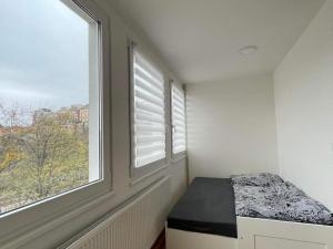 Pronájem bytu 1+kk, Praha - Vinohrady, Perucká, 24 m2