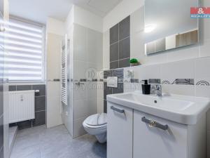 Prodej bytu 2+kk, Ostrov, Severní, 53 m2