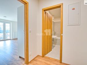 Pronájem bytu 1+kk, Liberec, Švermova, 40 m2