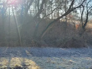 Prodej louky, Sýkořice, 3885 m2