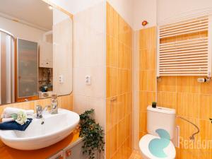 Pronájem bytu 2+kk, České Budějovice, Lipenská, 42 m2