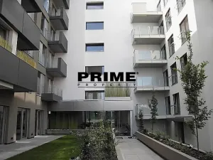 Pronájem bytu 2+kk, Praha - Žižkov, Prokopova, 62 m2