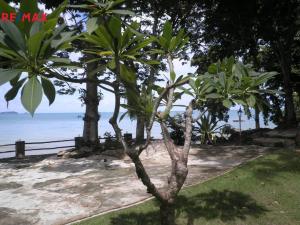 Prodej bytu 2+kk, Rayong, Koh Samet, Koh Samet, Thajsko, 45 m2