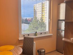 Pronájem bytu 1+kk, Hradec Králové - Nový Hradec Králové, Pod Zámečkem, 34 m2