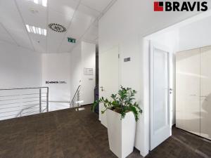 Pronájem obchodního prostoru, Brno - Brno-město, Orlí, 231 m2