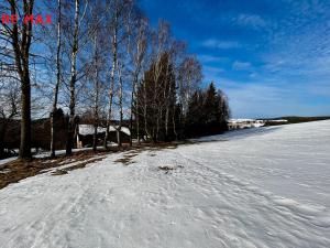 Prodej chalupy, Říčky v Orlických horách, 247 m2