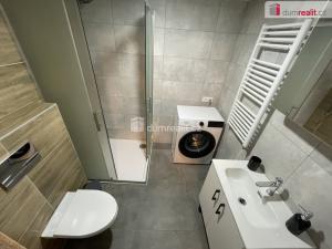 Pronájem bytu 1+kk, Opava - Předměstí, Olbrichova, 25 m2