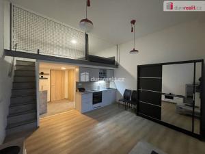 Pronájem bytu 1+kk, Opava - Předměstí, Olbrichova, 25 m2