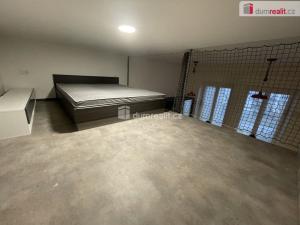 Pronájem bytu 1+kk, Opava - Předměstí, Olbrichova, 25 m2