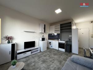 Pronájem bytu 1+kk, Litoměřice - Předměstí, Alšova, 21 m2