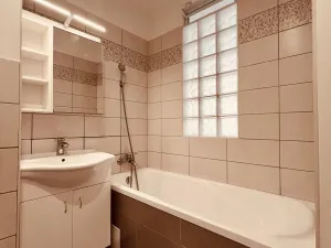 Pronájem bytu 1+1, Ostrava - Moravská Ostrava, Garážní, 46 m2