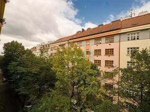 Pronájem bytu 1+1, Praha - Žižkov, Žerotínova, 42 m2