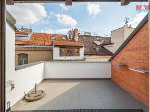 Prodej atypického bytu, Praha - Žižkov, Příběnická, 266 m2