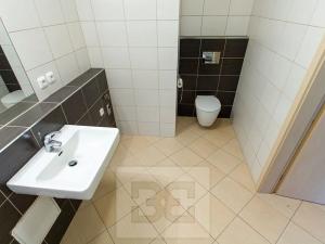 Pronájem bytu 2+kk, Praha - Vysočany, Pod Harfou, 52 m2