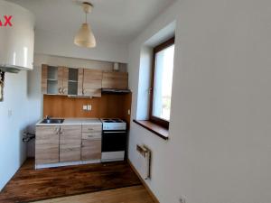 Pronájem bytu 1+kk, Zábřeh, Rybářská, 25 m2