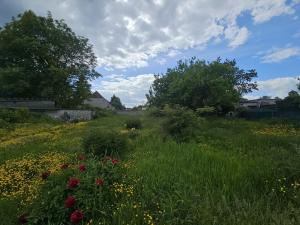 Prodej komerční nemovitosti, Nové Strašecí, Karlovarská, 122 m2