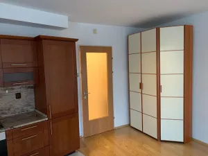 Pronájem bytu 3+kk, Praha - Vinohrady, U Zvonařky, 96 m2