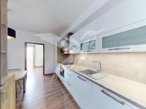 Pronájem bytu 2+kk, Plzeň, U Velkého rybníka, 52 m2